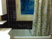 Cosily furnished 1 bedroom apartment near the University...