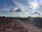 Costa de Araujo, Lavalle