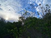 Costa Esmeralda Lote 461