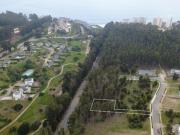 COSTA QUILEN, BOSQUES DE QUILEN, PUCHUNCAVÍ COSTA QUILEN, BOSQUES DE QUILEN, PUCHUNCAVÍ