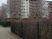 Cosy and comfortable full furnished flat in Berlin...