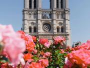 Cosy appt 1BR/2P Quartier Latin