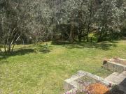 Cosy Cottage on One Acre