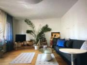 Cosy, quiet, bright, large apartment close to the city,...