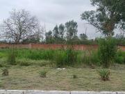 Coto Renacimiento en San Agustín