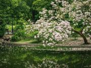 Cottageviertel – Exklusive 4 Zimmer Gartenwohnung mit...