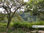 Country Height Damansara Bungalow FLAT Land