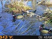 County Road 1120/1, Atlanta, TX 75551