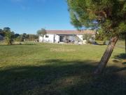 COUP DE COEUR ASSURE