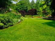 Coupvray Vente Terrain 77