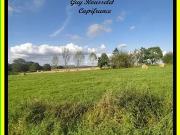 Courcelles lès Semur 21140 Achat / Vente terrain