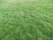 Courlon sur Yonne 89140 Programme neuf terrain neuf à vendre