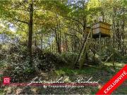 Courmemin 41230 Achat / Vente terrain