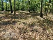 Courtney Rd, Trenton, Plot For Sale