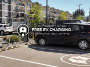 Courtview Landing 1 Bedroom Apartment for Rent at 1085...