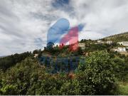 Covilhã Covilhã 95147464