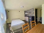 COYOACÁN, DEPARTAMENTO TIPO LOFT AMUEBLADO, EN RENTA