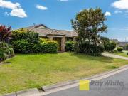 Charming 17 Redstart Street, Upper Coomera, QLD 4209
