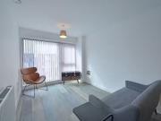 New 1 BA 1 bedroom apartment for rent in Apartment 306,...