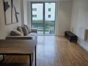 Deal! 1 BA 1 bedroom apartment for rent in Sirius...