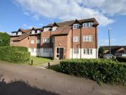 Charming 1 BA 2 bedroom apartment for rent in Falcon...