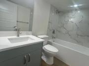 Cozy brand new 1 bedroom basement suite