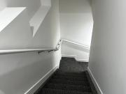 Cozy 1 Bedroom Basement Suite for Rent – SW Edmonton