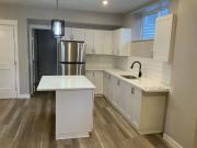 Cozy 1 bedroom basement suite, great lighting,...