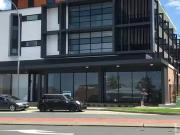 Cheap 1 BR 8/4 Hastings River Drive, Port Macquarie, NSW...