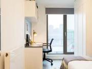 Just in! 1 BR Chapter White City Bronze Studio Lower Level