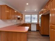Nice 20 Branxton Street, Nulkaba, NSW 2325