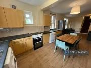 Cozy 2 BA 1 bedroom house share for rent in Harcourt...