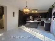 New 30 Moreau Way, Springwater, ON, L9X 0S6 house for lease. New 30 Moreau Way, Springwater, ON, L9X 0S6 house for lease.
