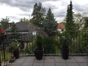 Cozy & charming 2 room apartment in Frankfurt am Main...