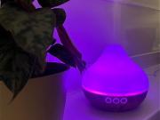 Cozy City Apartment, Berlin Amsterdam Apartments for Rent Cozy City Apartment, Berlin Amsterdam Apartments for Rent