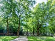 Just in! Flat to rent in Page Street, Westminster,...