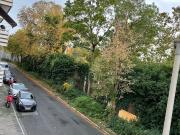 Cozy large apartment with balcony, 3 BR, 104sqm,...