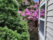 Rental! Pepperell 6170 0 6170 Pepperell St #0