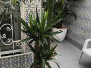 Cozy single bedroom in Badalona, close to Llefià metro...