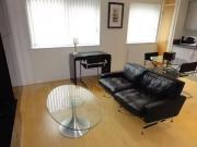 Deal! Studio apartment for rent in Sheepcote Street,...