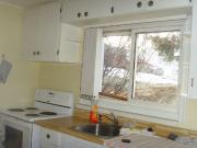 Cozy Walkout Basement in Bankview