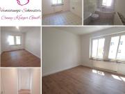 Wohnung in Chemnitz Lutherviertel