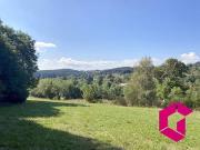 Craponne sur Arzon 43500 Achat / Vente terrain