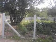 Credito Real do Forte vende terreno no bairro Mato...