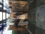 Creek Vista 3 And 4 Bedrooms Apartments Available For...