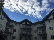 Creeks Crossing Apartments for Rent Rentals 10405 99 Ave...