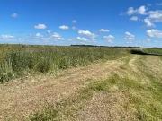 Creully sur Seulles 14480 Programme neuf terrain neuf à...