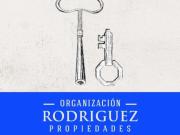 Cruz de piedra. Ampros viii