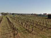 Cruzy 34310 Programme neuf terrain neuf à vendre