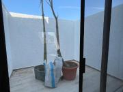 Cuartos en Renta para señoritas – Ladron de Guevara,...